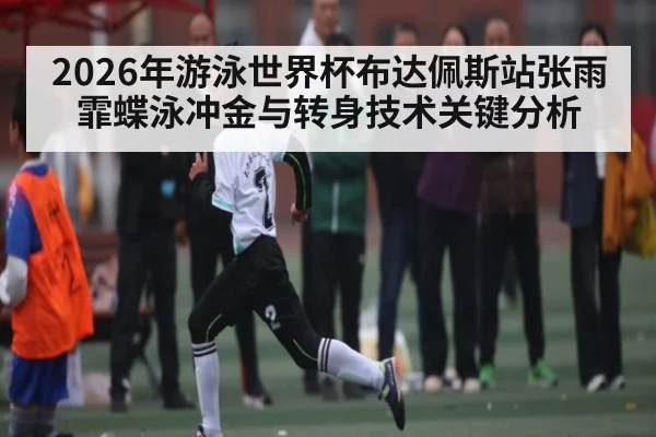 2026年游泳世界杯布达佩斯站张雨霏蝶泳冲金与转身技术关键分析