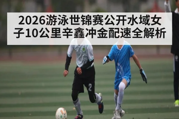 2026游泳世锦赛公开水域女子10公里辛鑫冲金配速全解析